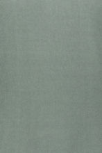 Load image into Gallery viewer, Maglia delavè girocollo verde chiaro
